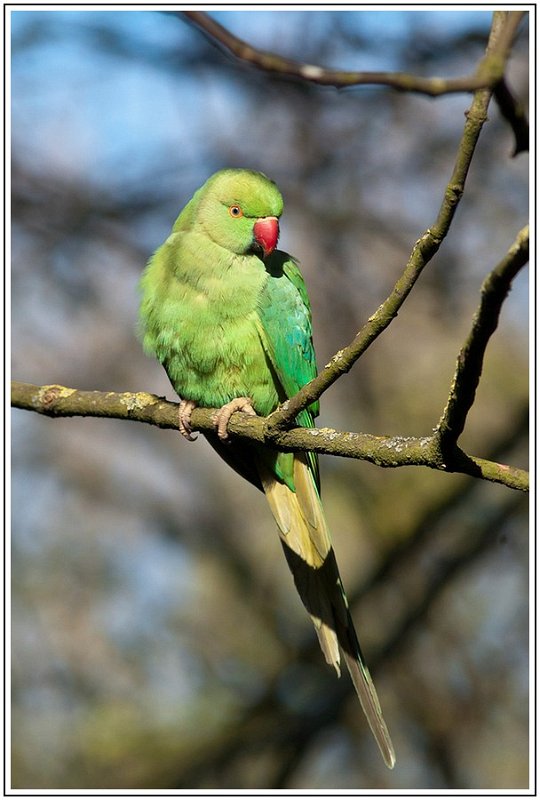 BG_parc de Sceaux-6.jpg